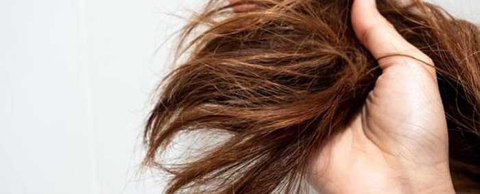 Все о пористости волос и почему это важно