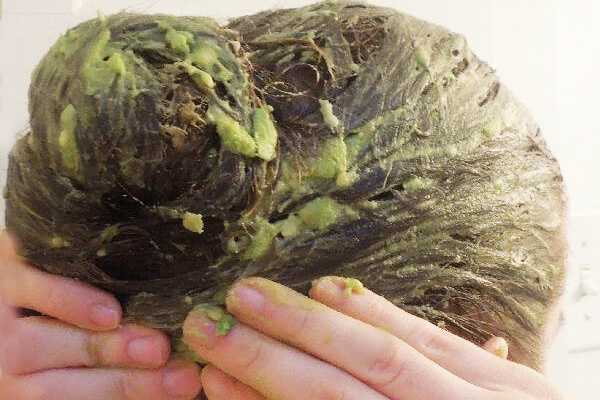 Авокадо для волос: полезные свойства и способы применения