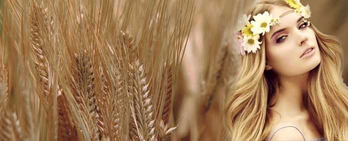 Пшеничный цвет волос
