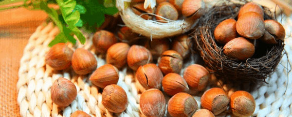 Преимущества масла лесного ореха для удержания влаги в волосах